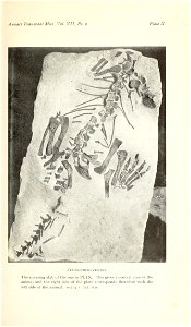 n322_w1150
