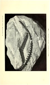 n432_w1150