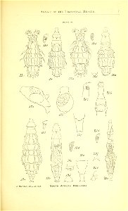 n36_w1150