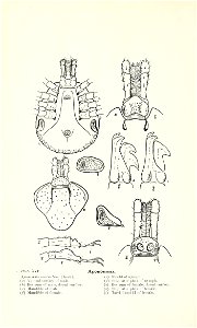 n233_w1150