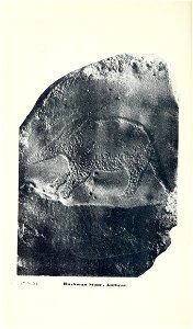 n113_w1150