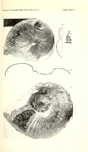 n410_w1150