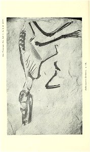n431_w1150