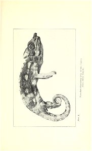 n252_w1150