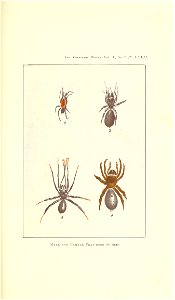 n598_w1150
