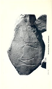 n111_w1150