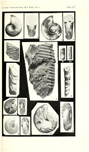 n102_w1150
