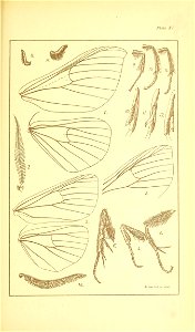 n532_w1150