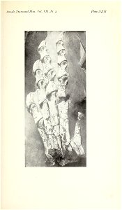 n396_w1150
