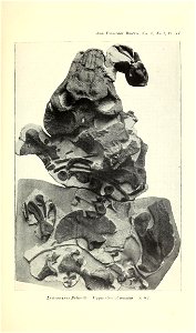 n422_w1150