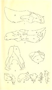 n296_w1150
