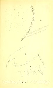 n328_w1150