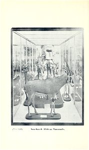 n57_w1150