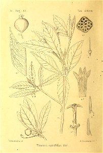 n495_w1150