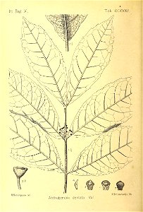 n159_w1150