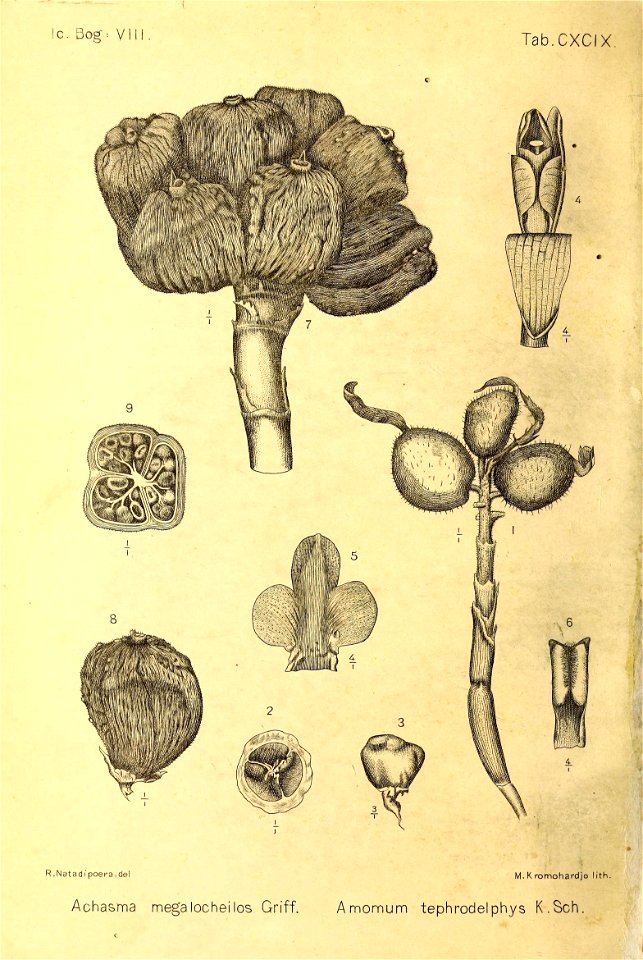 n541_w1150