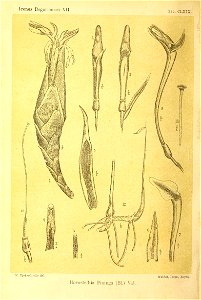 n401_w1150