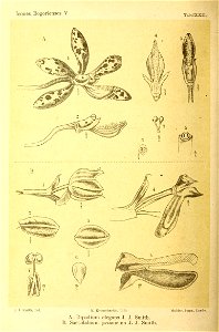 n173_w1150