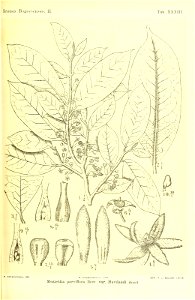 n262_w1150