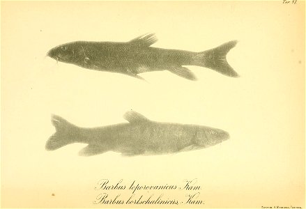 n188_w1150