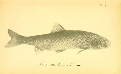 n212_w1150