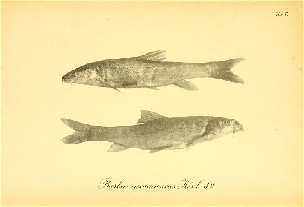 n186_w1150