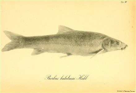 n184_w1150