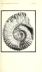 n118_w1150