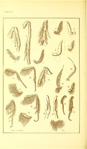 n517_w1150