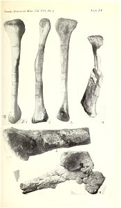 n382_w1150