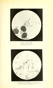 n122_w1150