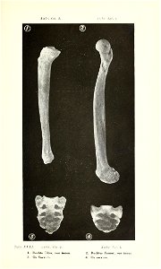 n304_w1150