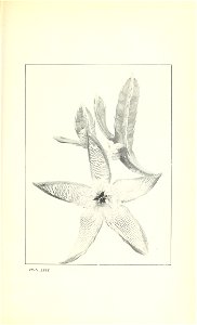 n292_w1150