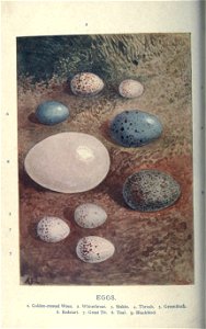 n173_w1150
