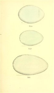 n132_w1150