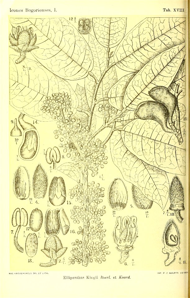 n123_w1150