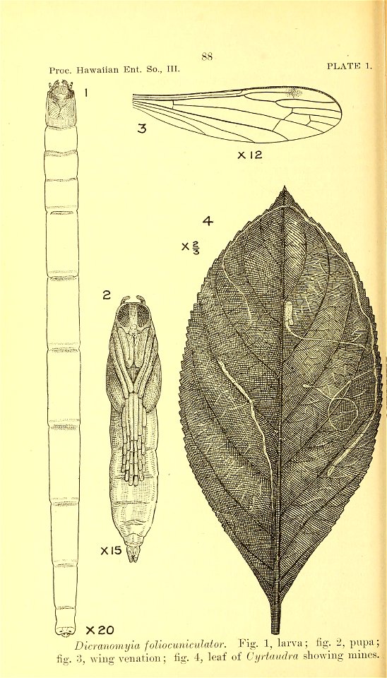 n119_w1150