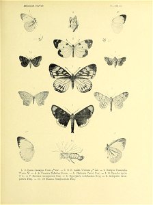 n290_w1150