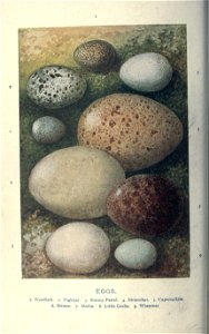 n209_w1150