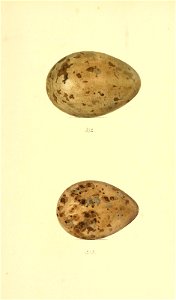 n312_w1150