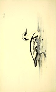 n15_w1150