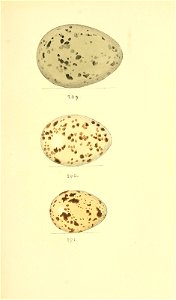 n156_w1150