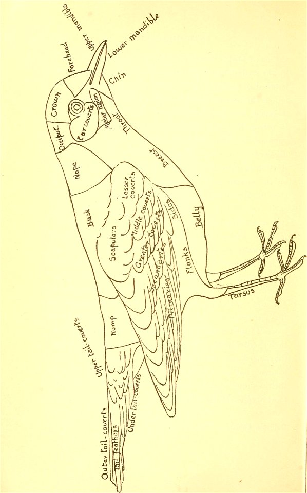 n19_w1150