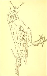 n19_w1150