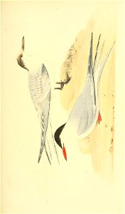 n150_w1150