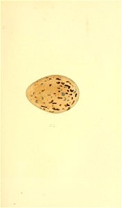 n226_w1150