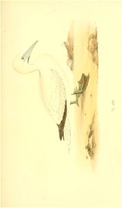 n126_w1150