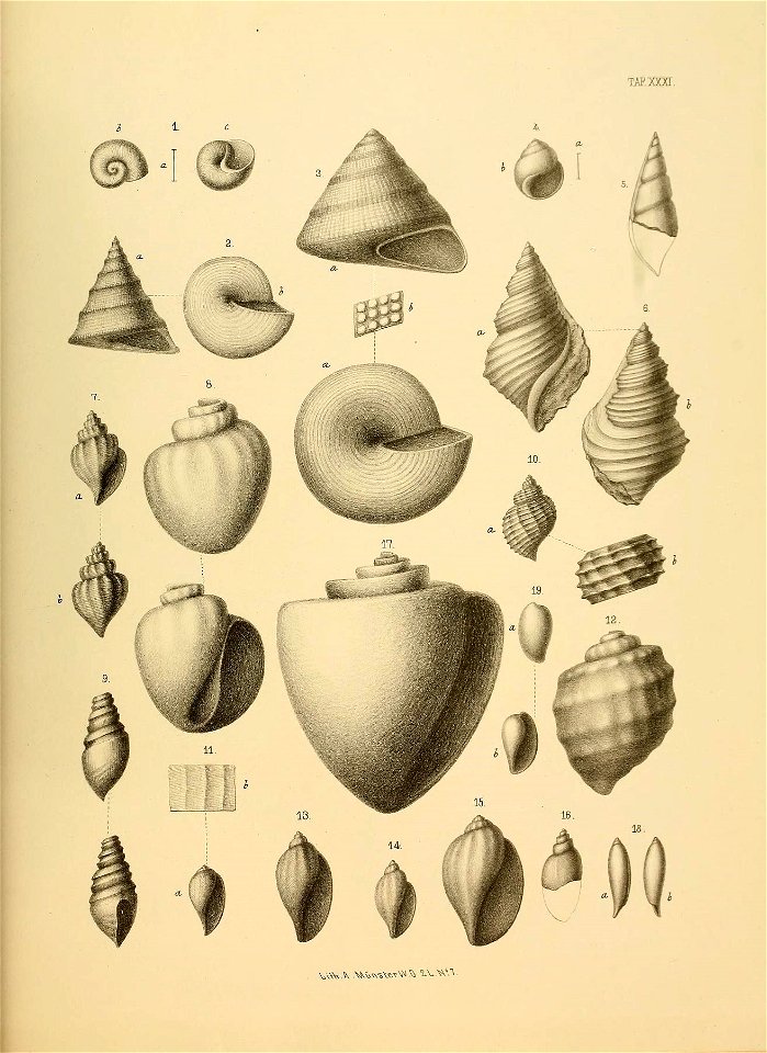 n140_w1150