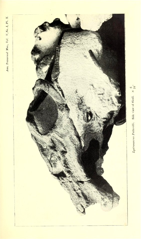 n420_w1150