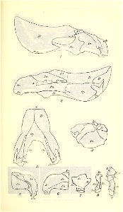 n294_w1150